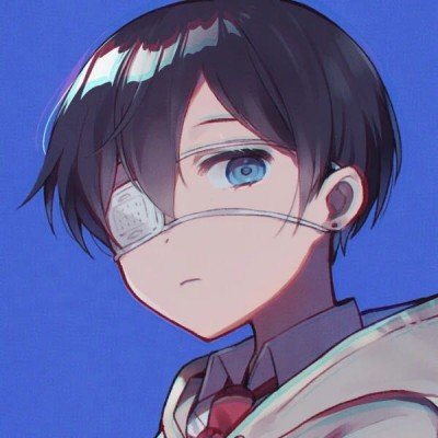 救助猫因主人猝逝躲床单