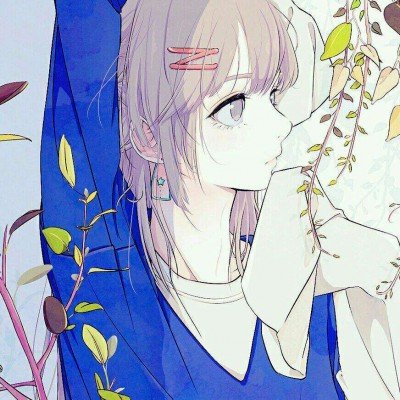 木棉花的春天